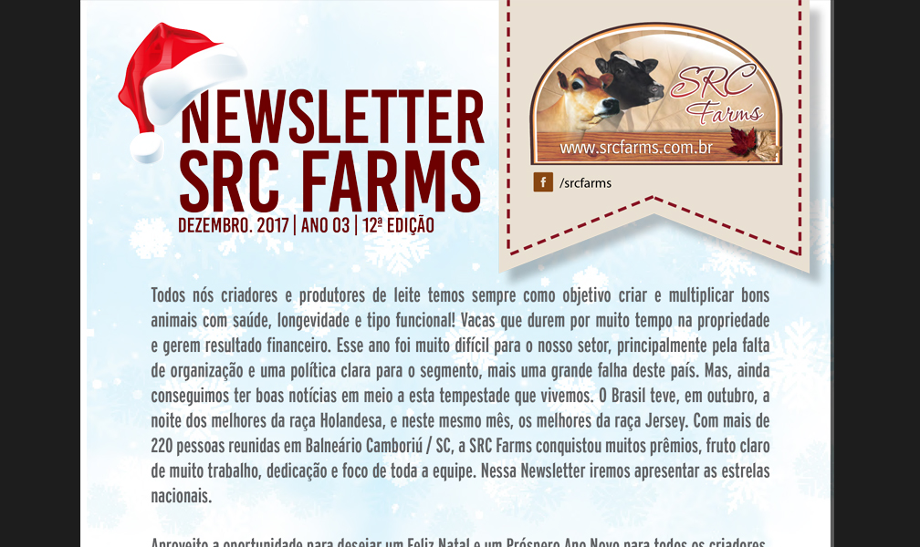 Newsletter de Natal 2017